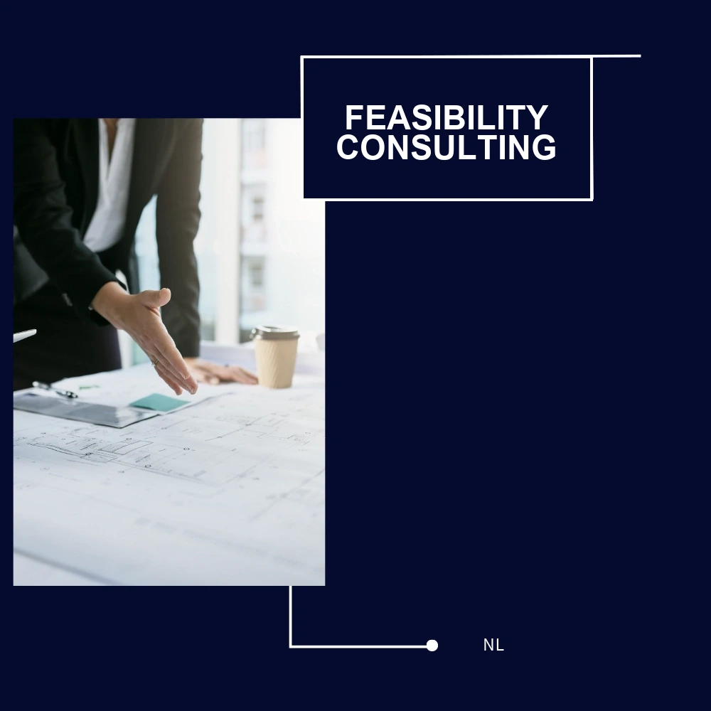 Feasibility consulting