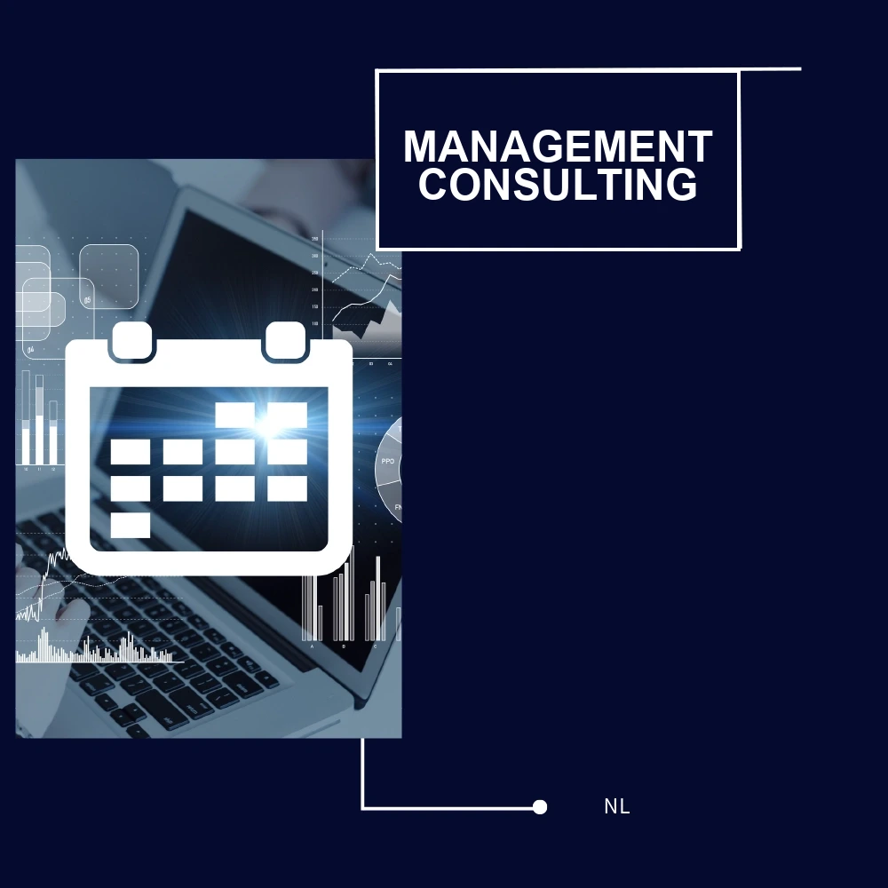 Management consulting